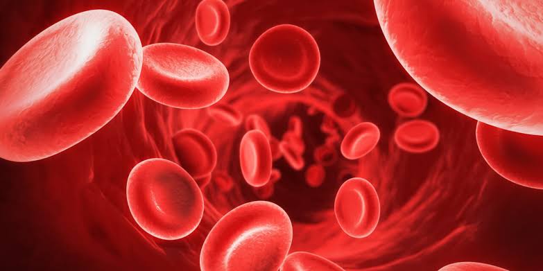 صورة لخلايا الدم الحمراء