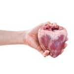 Human heart in hand isolated on white background. with clipping path